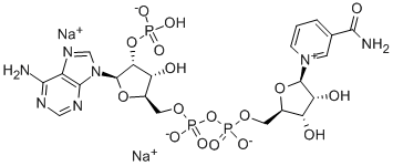 甘肃β-NADP