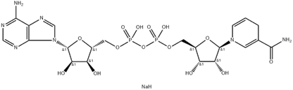 β-NADH