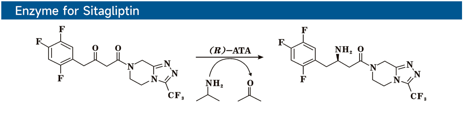 Enzyme for Sitagliptin西格列汀酶.png