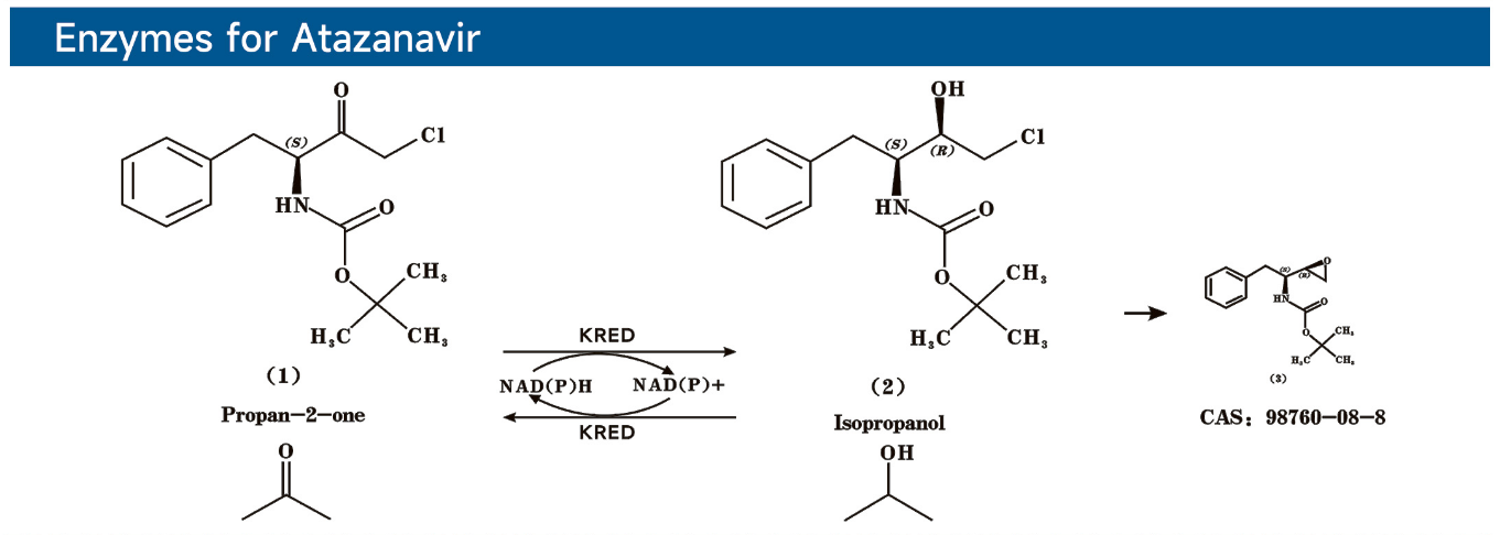 Enzymes for Atazanavir阿扎那韦用酶.png