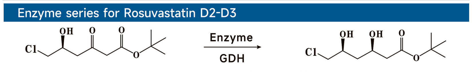 瑞舒伐他汀 D2‑D3 酶系列.png